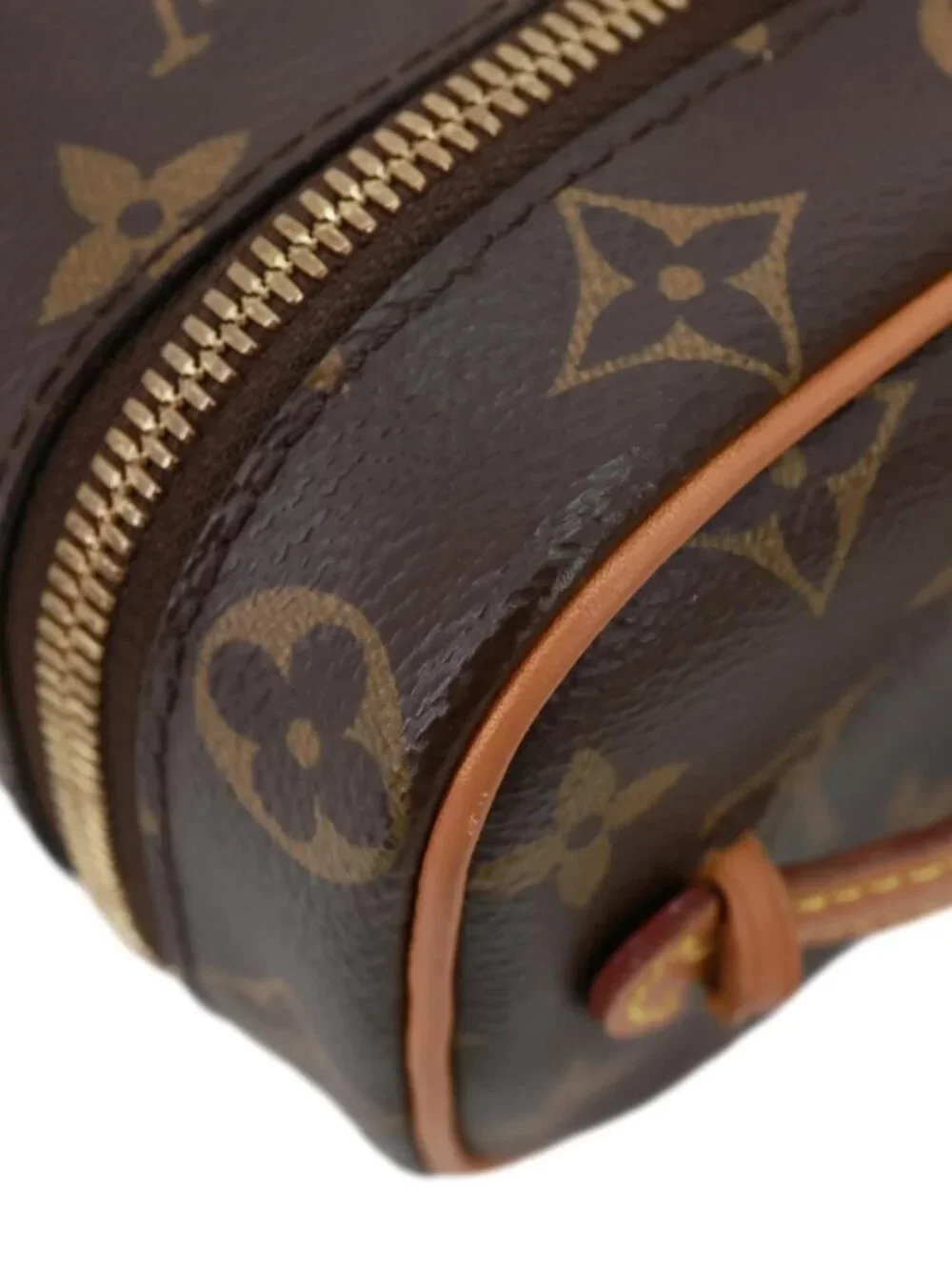 Louis Vuitton  Nice Nano Monogram Canvas Vanity Case Brown